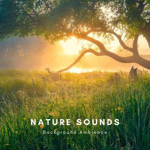 Nature Sounds Background Ambience