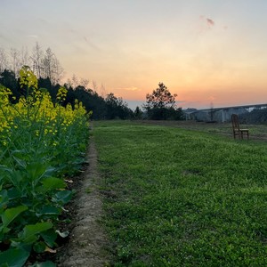 多说一句，对你 (Demo)