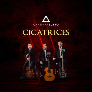 Cicatrices