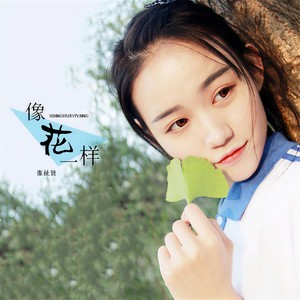 像花一样 (伴奏)