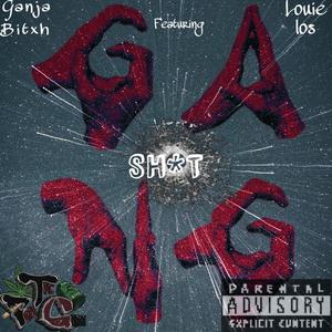 Gang **** (feat. louie los) (Explicit)
