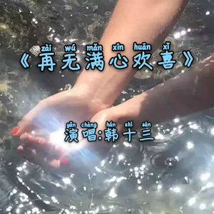 韩十三 - 再无满心欢喜 (伴奏)