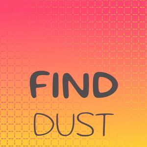 Find Dust
