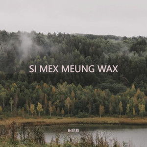 SI MEX MEUNG WAX