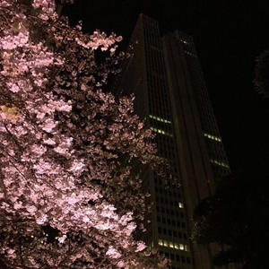 Tokyo run! (Explicit)