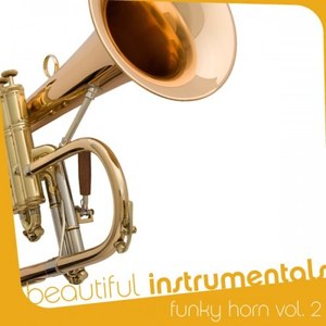 Beautiful Instrumentals: Funky Horn Vol. 2