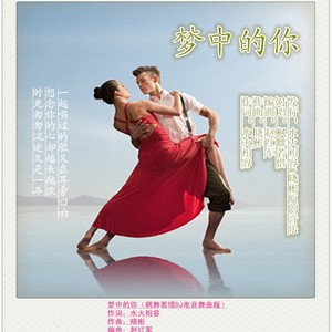 梦中的你 (枫舞若惜DJ电音舞曲版)