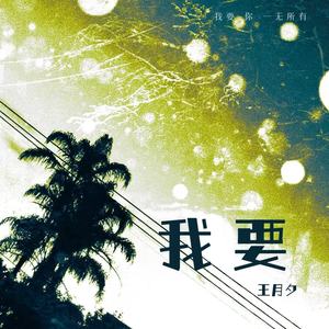 我要 (你一无所有)