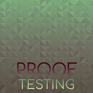 Proof Testing