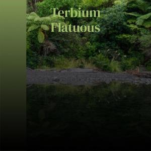 Terbium Flatuous