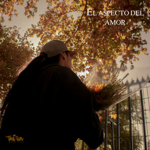 El aspecto del amor