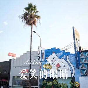 爱笑的眼睛 (Remix)