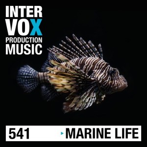 Secrets of the Ocean
