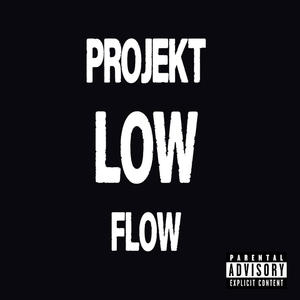 PROJEKT LOW FLOW (feat. NO) (Explicit)