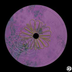 Seagull (Perspective Mix)