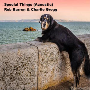 Special Things (feat. Charlie Gregg) (Acoustic)