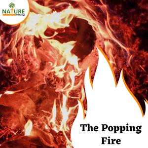 The Popping Fire