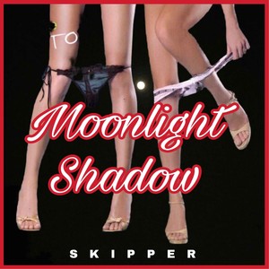 Groove Coverage-Moonlight Shadow (Skipper remix)