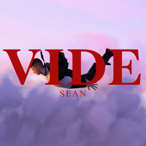 Vide (Explicit)