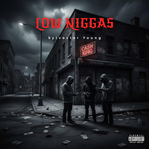 Low Niggas (Explicit)
