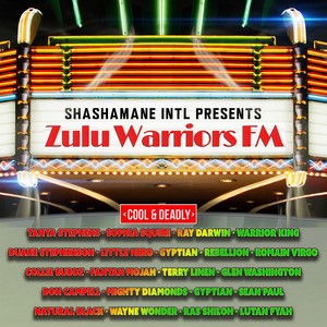 Can't Get Me Down(Shashamane Dubplate) (Remix)