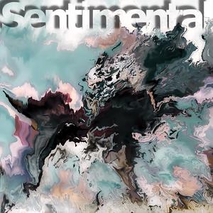 Sentimental (feat. Dirtgrass)