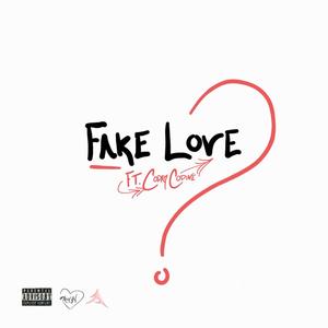 Fake Love (feat. A+ Productionz) [Remix] [Explicit]