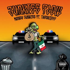 JUNKIEE FLOW (feat. Taeski247) (Explicit)