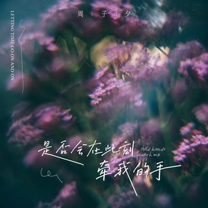 是否会在此刻牵我的手