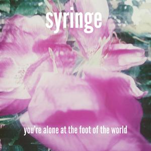 You're Alone at the Foot of the World