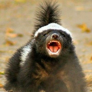 Who Wanna (feat. A-Jak)