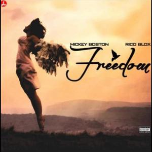 Freedom (feat. Mickey Boston) [Explicit]