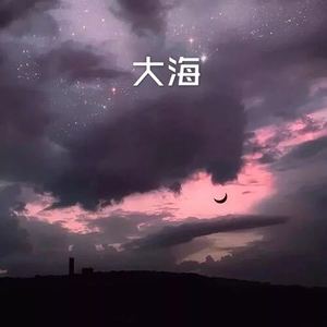 大海 (Remix)