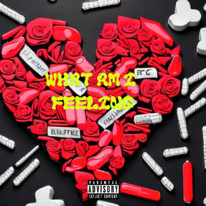 What Am I Feeling (Explicit)