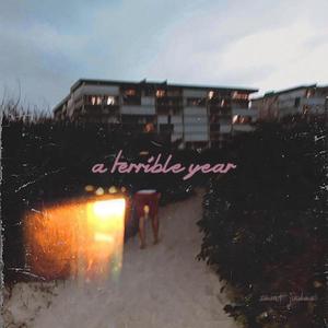 a terrible year (Explicit)