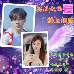 你给我的爱插上翅膀