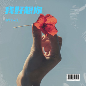 爱你就像爱生命封面