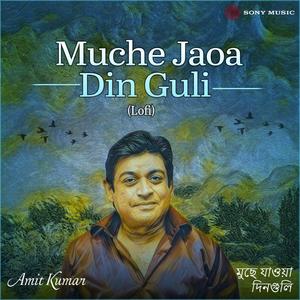Muche Jaoa Din Guli (Lofi)
