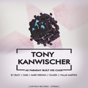 As Faraday Built His Cage (Vallas Martins Remix)