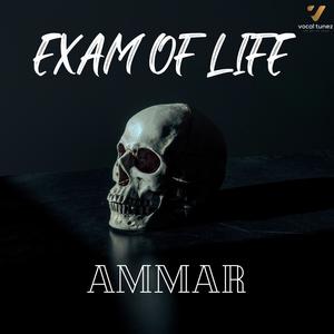 Exam Of Life (Mix|Explicit)