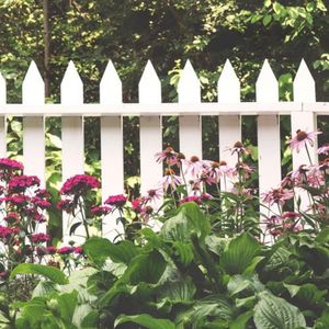 Stars (Outta Space) (Explicit)