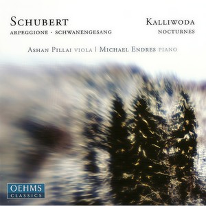 Schwanengesang, D. 957 (arr. A. Pillai) - No. 14. Die Taubenpost