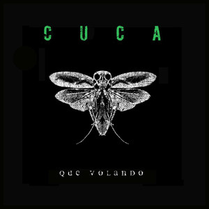 Que volando (Explicit)