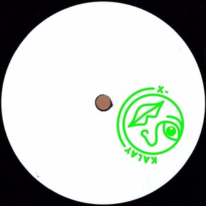 Seattle City Light (Inst.)