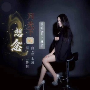 月光下的想念-伴奏 (伴奏)