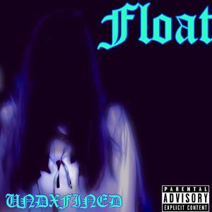 Float (Explicit)