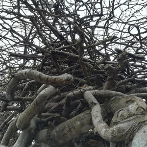 TIME HAS COME (Explicit)