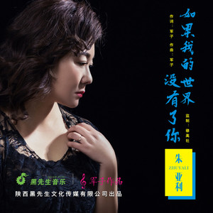 如果我的世界没有了你