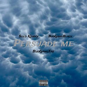 Persuade Me (Explicit)