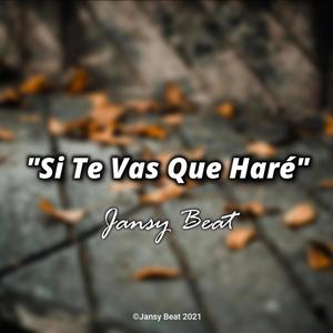 Si Te Vas Que Haré (Instrumental)